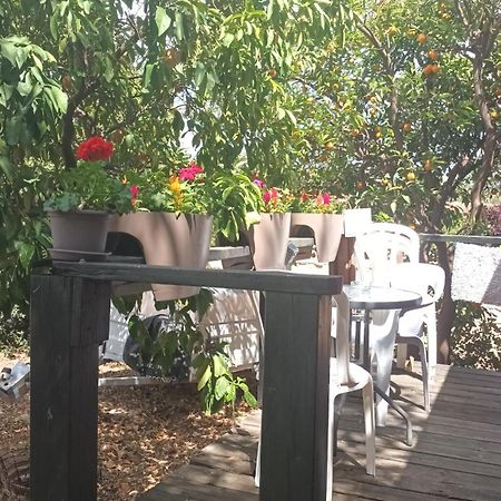 A Fun Holiday In The Galilee Sede Eli'ezer Exterior photo