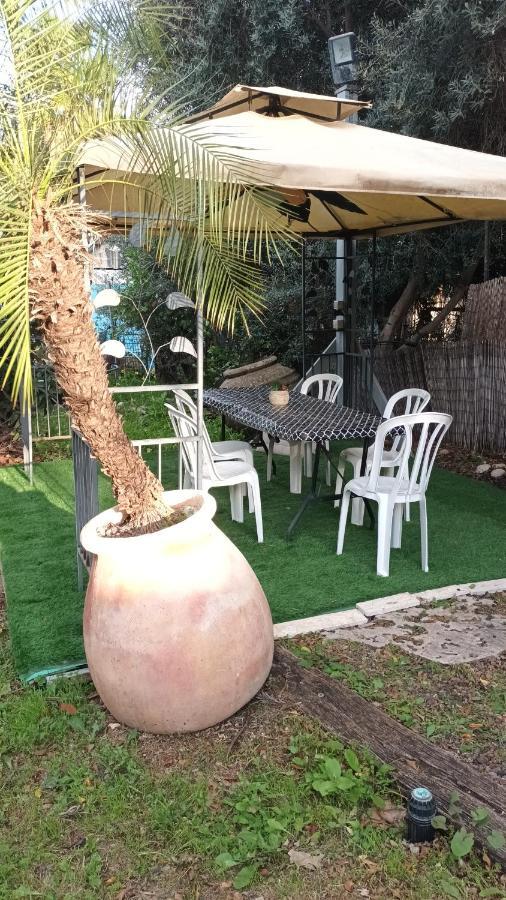 A Fun Holiday In The Galilee Sede Eli'ezer Exterior photo