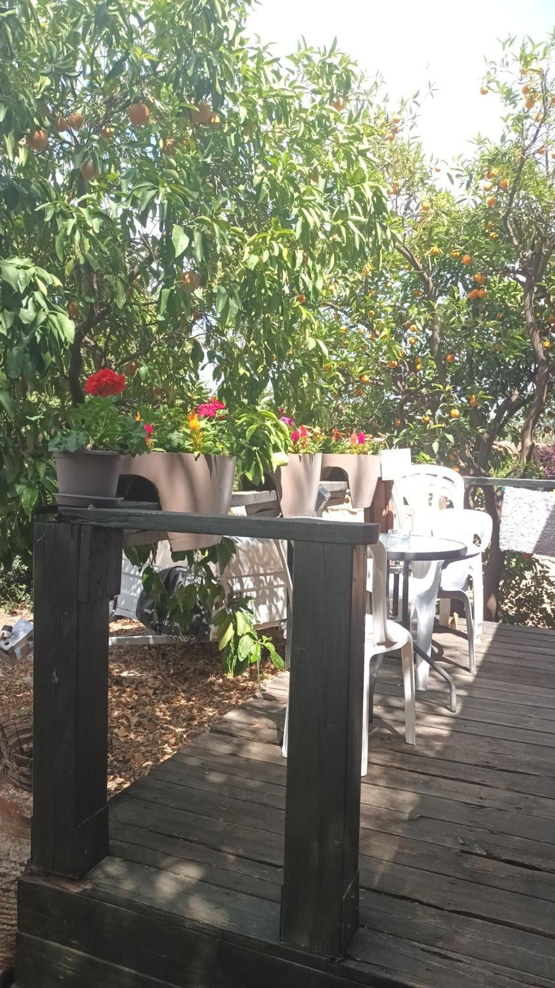 A Fun Holiday In The Galilee Sede Eli'ezer Exterior photo